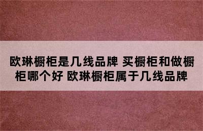 欧琳橱柜是几线品牌 买橱柜和做橱柜哪个好 欧琳橱柜属于几线品牌